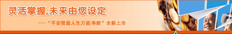 平安智盈人生终身寿险